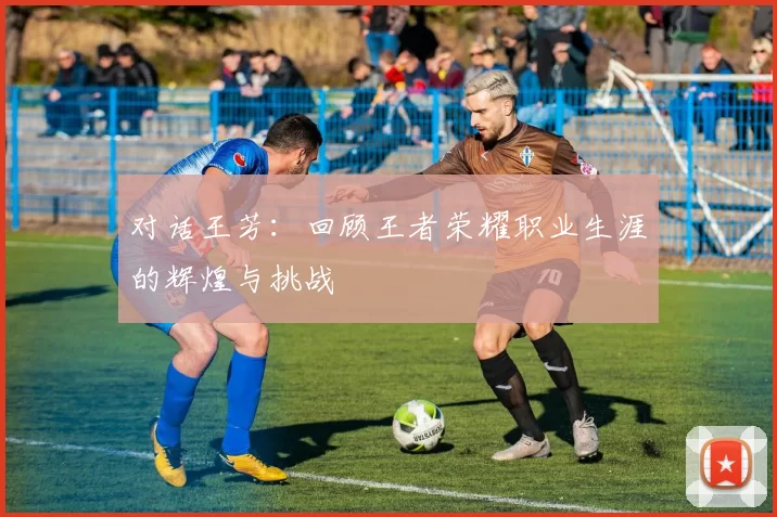 对话王芳：回顾王者荣耀职业生涯的辉煌与挑战