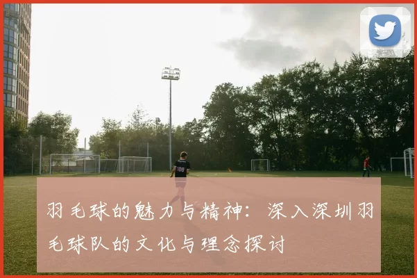 羽毛球的魅力与精神：深入深圳羽毛球队的文化与理念探讨