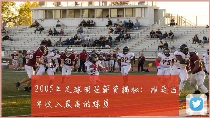 2005年足球明星薪资揭秘：谁是当年收入最高的球员