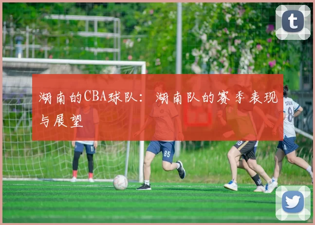 湖南的CBA球队：湖南队的赛季表现与展望