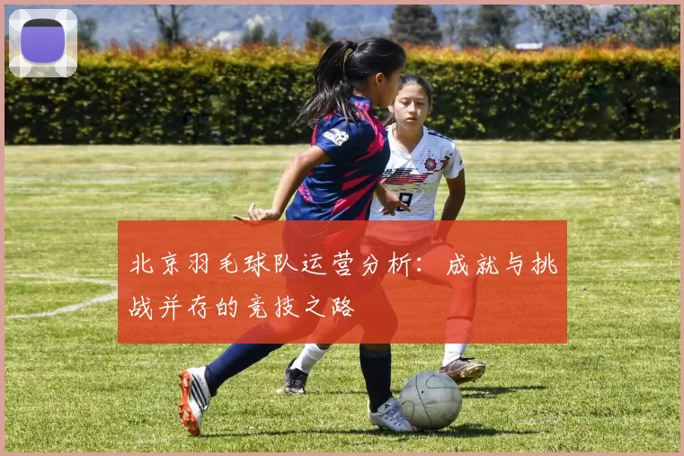 北京羽毛球队运营分析：成就与挑战并存的竞技之路