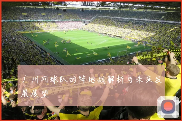 广州网球队的阵地战解析与未来发展展望