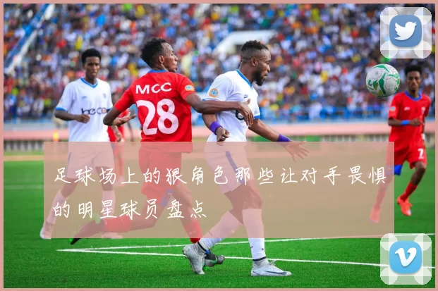 足球场上的狠角色那些让对手畏惧的明星球员盘点