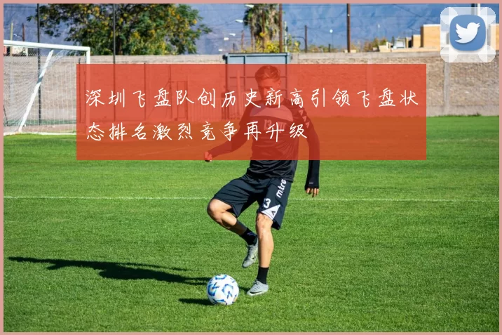 深圳飞盘队创历史新高引领飞盘状态排名激烈竞争再升级