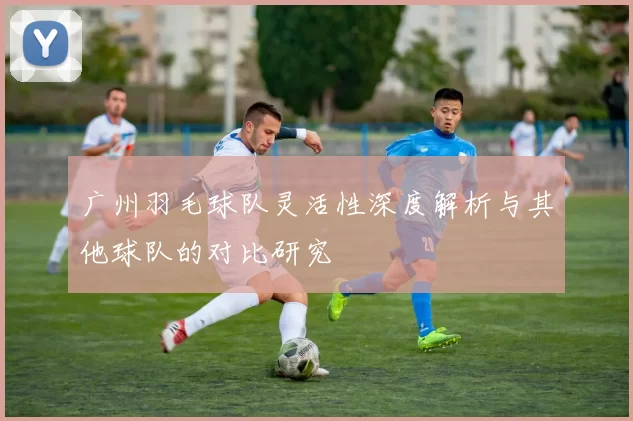 广州羽毛球队灵活性深度解析与其他球队的对比研究