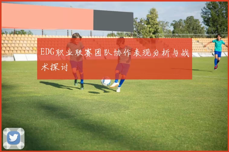 EDG职业联赛团队协作表现分析与战术探讨