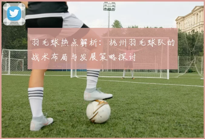羽毛球热点解析：杭州羽毛球队的战术布局与发展策略探讨
