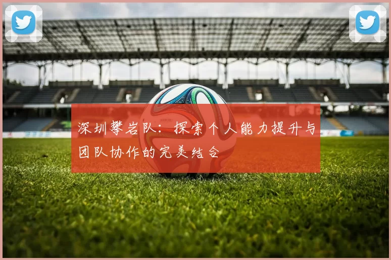深圳攀岩队：探索个人能力提升与团队协作的完美结合