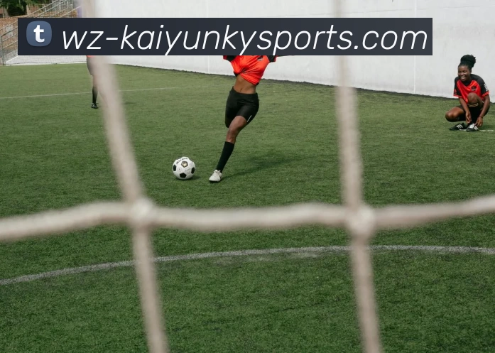 开云APP下载平台生态图